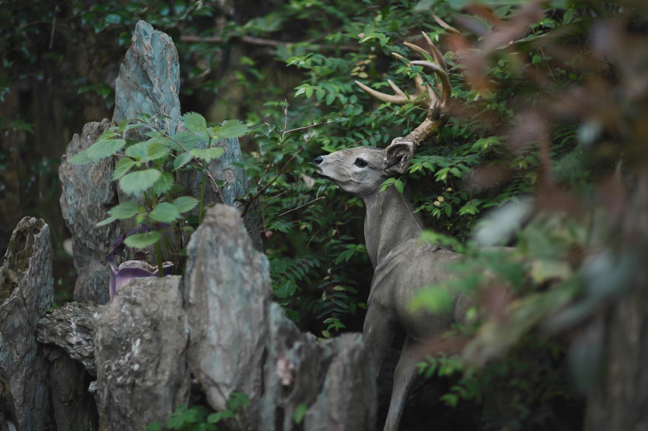 Wuyi Mountain Ancient Street Forest Living England Time Inn Wuyishan  Zewnętrze zdjęcie